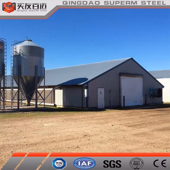 Economical New Design Poultry Farm House for Broiler Chicken Laying Hens
