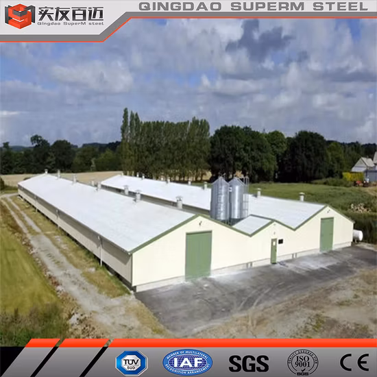 Economical New Design Poultry Farm House for Broiler Chicken Laying Hens