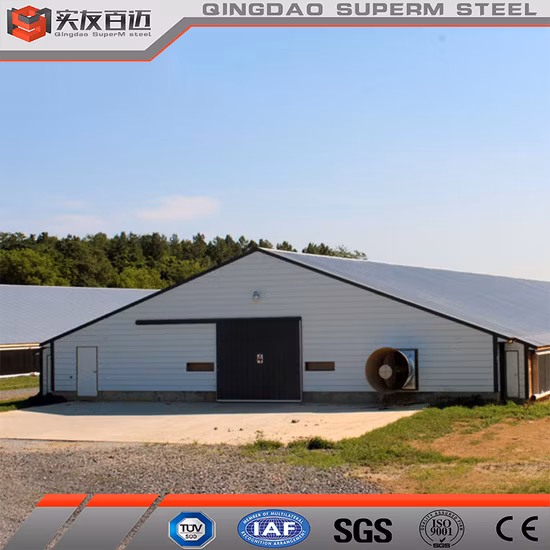 Economical New Design Poultry Farm House for Broiler Chicken Laying Hens