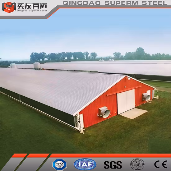 Economical New Design Poultry Farm House for Broiler Chicken Laying Hens