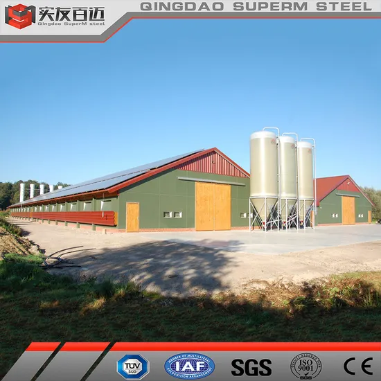 Economical New Design Poultry Farm House for Broiler Chicken Laying Hens