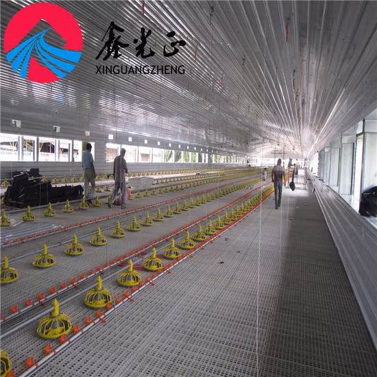 China Venta caliente huevos de capa móvil gallina gallina fácil instalación estructura de acero a prueba de huracanes gallinero